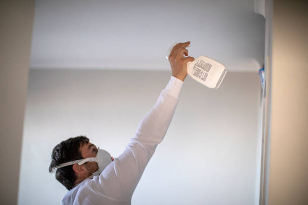 Best Mold Removal Near Me  in Pacifi, CA