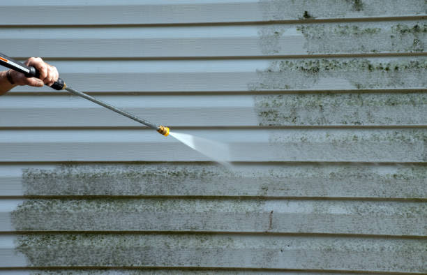 Professional Mold Removal in Pacifica, CA