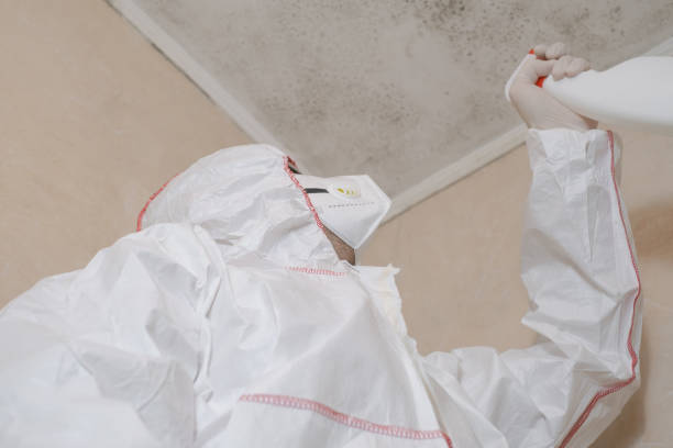 Best Mold Removal Specialists  in Pacifi, CA